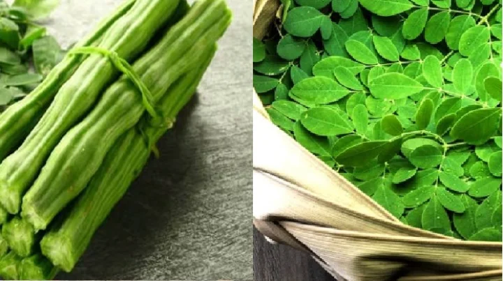 drumstick leaves