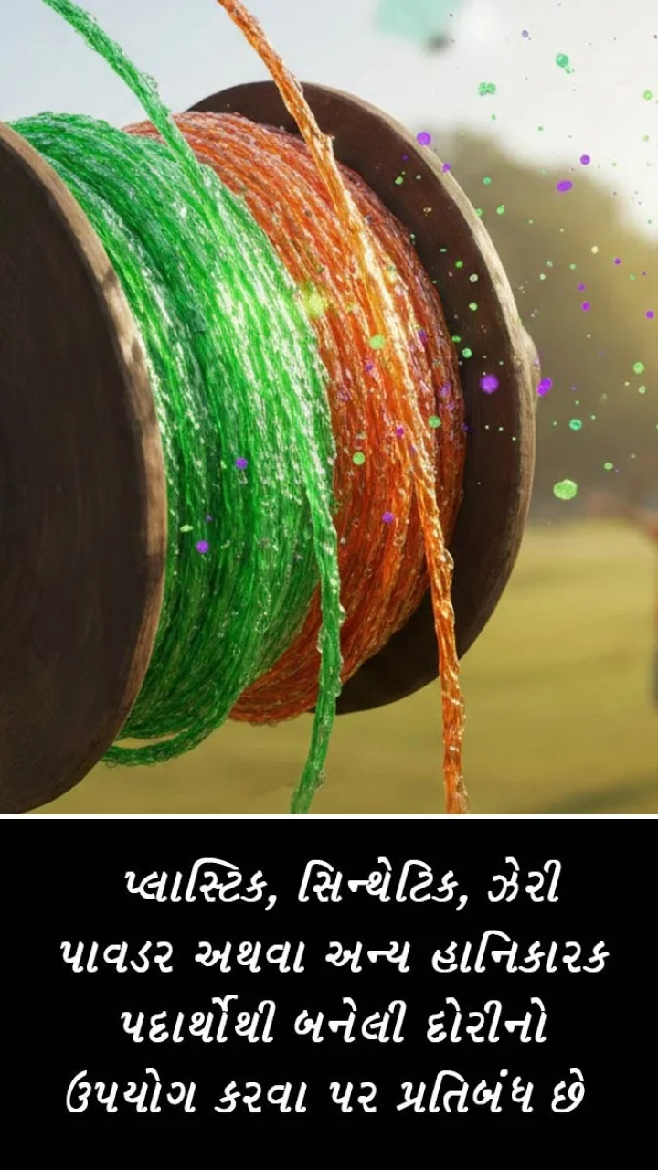 police notification regarding uttarayan