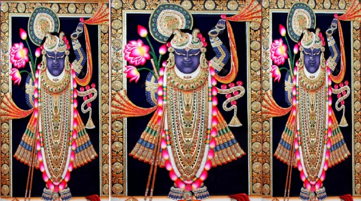 શ્રીનાથજી પાટોત્સવ