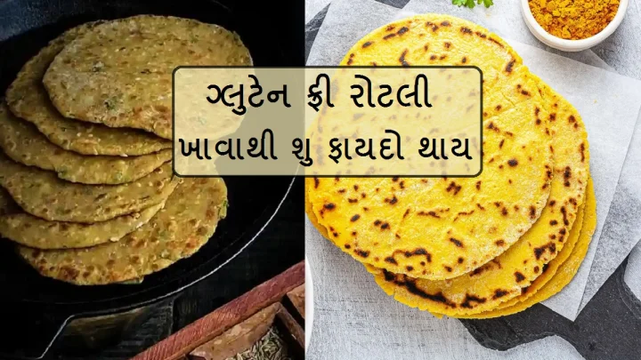 gluten free roti
