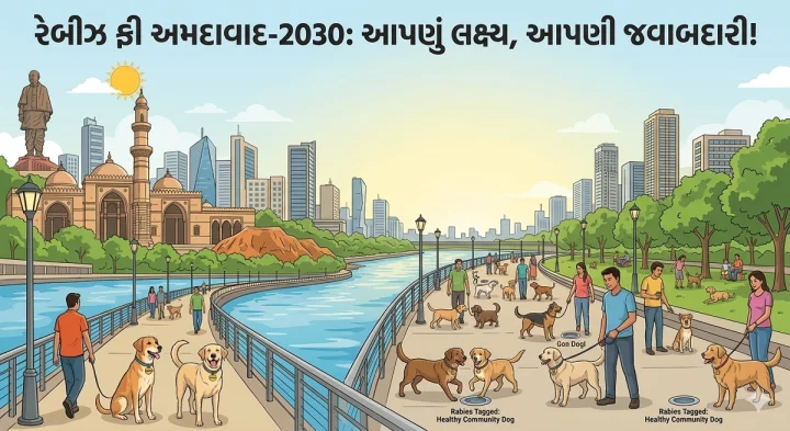 રેબીઝ ફ્રી અમદાવાદ-2030: 10 મહિનામાં શહેરભરના કૂતરાઓની ગણતરી કરાશે, અત્યાર સુધીમાં 5,000થી વધુ શ્વાનોમાં ચીપ લગાવાઈ