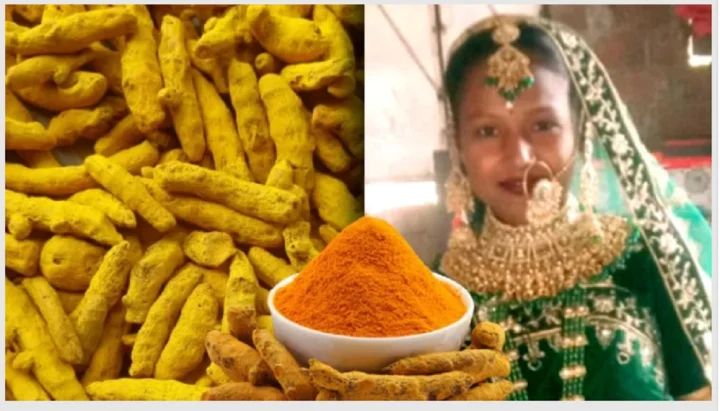 fake turmeric test
