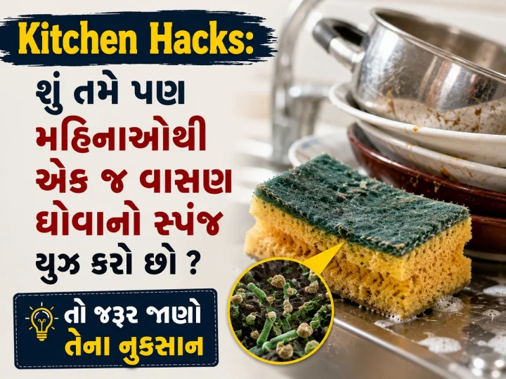 Kitchen Hacks: શુ તમે પણ મહિનાઓથી એક જ વાસણ ઘોવાનો સ્પંજ યુઝ કરો છો ? તો જરૂર જાણો તેના નુકશાન
