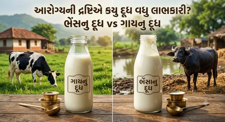 આરોગ્યની દ્રષ્ટિએ ભેંસનુ દૂધ કે ગાયનુ દૂધ, કયુ દૂધ છે વધુ લાભકારી ?