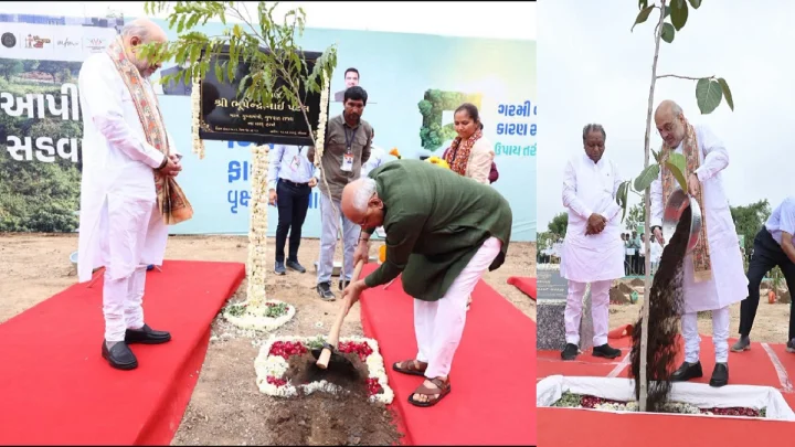 હરિયાળા અમદાવાદ તરફ ઐતિહાસિક કદમ: 35 સ્થાનિક પ્રજાતિના વૃક્ષો વાવી AMCએ સ્થાપ્યો વૈશ્વિક કીર્તિમાન