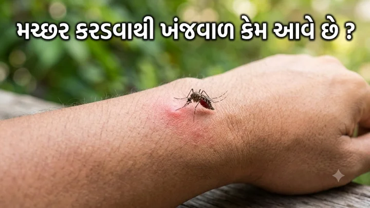 મચ્છર કરડવાથી ખંજવાળ કેમ આવે છે ? જાણો તેના પાછળનું સાયન્ટીફીક કારણ