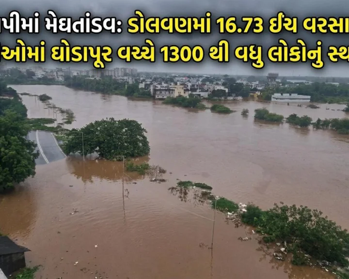 તાપીમાં મેઘતાંડવ: ડોલવણમાં 16.73  ઈંચ વરસાદ, 6 નદીઓમાં ઘોડાપૂર વચ્ચે 1300 થી વધુ લોકોનું સ્થળાંતર
