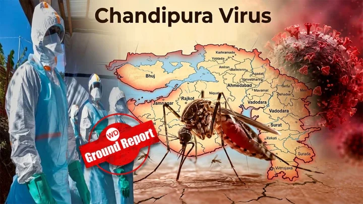 chandipura virus ground report