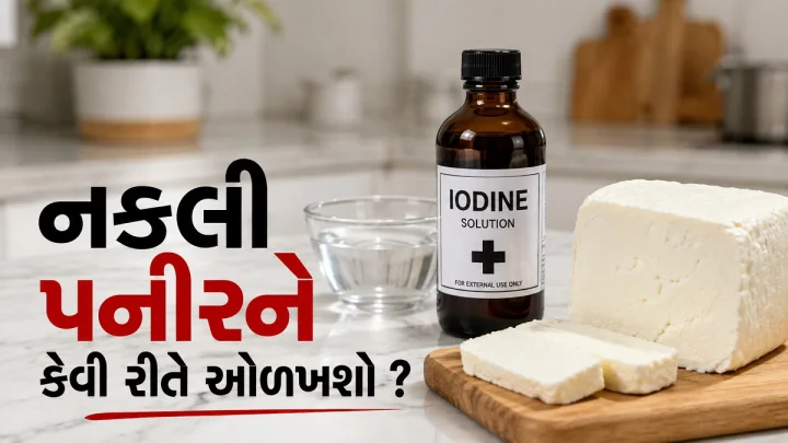 શુ છે એનાલોગ પનીર ? નકલી પનીરને કેવી રીતે ઓળખશો ? 5 સહેલા ઘરેલુ ટેસ્ટ