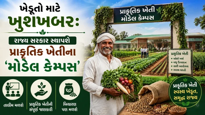 ખેડૂતો માટે ખુશખબર: રાજ્ય સરકાર સ્થાપશે પ્રાકૃતિક ખેતીના 'મોડેલ કેમ્પસ', તાલીમ સાથે બિયારણ પણ મળશે