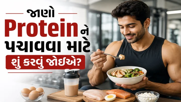 protein food