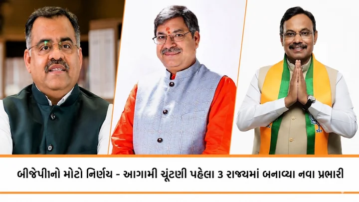 BJP new incharge
