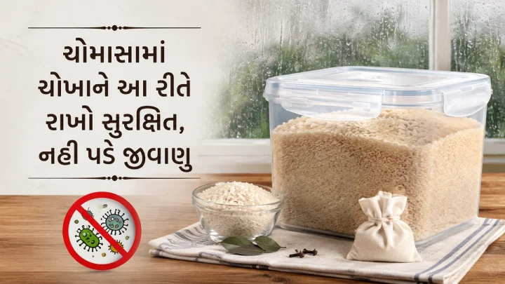 ચોમાસામાં ચોખાને આ રીતે રાખો સુરક્ષિત, નહી પડે જીવાણુ