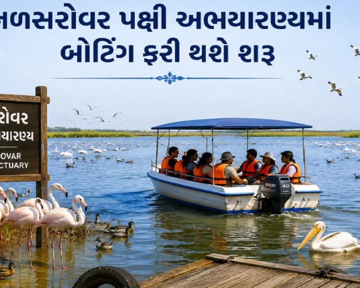 નળસરોવર પક્ષી અભયારણ્ય: 100 નવી યાંત્રિક બોટ અને કડક સુરક્ષા માપદંડો સાથે બોટિંગ શરૂ થશે, સ્થાનિક નાવિકોની આજીવિકા પાટા પર આવશે