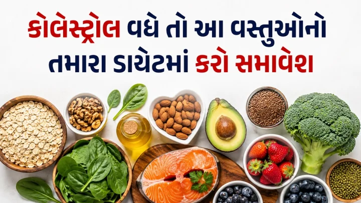 Food to Control Cholesterol - કોલેસ્ટ્રોલ વધે તો આ વસ્તુઓનો તમારા ડાયેટમાં કરો સમાવેશ