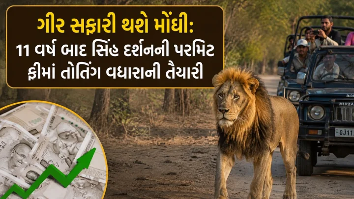 ગીર સફારી થશે મોંઘી: 11 વર્ષ બાદ સિંહ દર્શનની પરમિટ ફીમાં તોતિંગ વધારાની તૈયારી