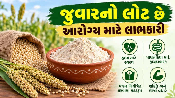 જુવારનો લોટ છે આરોગ્ય માટે લાભકારી, જાણો તેના અગણિત ફાયદા