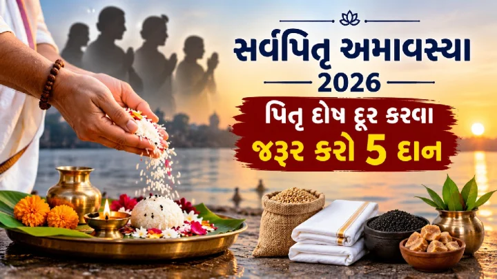 સર્વપિતૃ અમાવસ્યા 2026 - પિતૃ દોષ દૂર કરવાની સૌથી ઉત્તમ તક, હાથમાંથી જવા ન દેશો.. જરૂર કરો આ 5 દાન