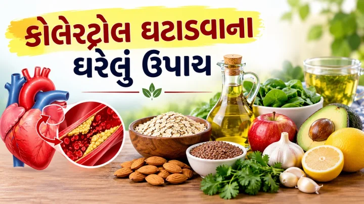 કોલેસ્ટ્રોલ ઘટાડવાના ઘરેલું ઉપાય, આ આર્યુર્વેદિક વસ્તુઓથી થશે ફાયદો
