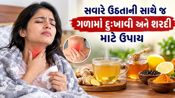 શું તમને પણ સવારે ઉઠતાની સાથે જ ગળામાં દુખાવો અને શરદી જેવું લાગે છે, ઠંડી નહીં પણ પ્રદૂષણનું કારણ પણ હોઈ શકે,  આ વસ્તુઓનું કરો સેવન