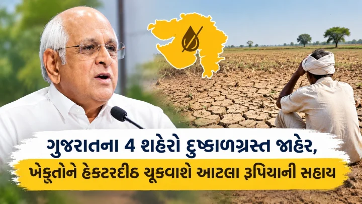 દેવભૂમિ દ્વારકા, કચ્છ, પોરબંદર અને જામનગર દુષ્કાળગ્રસ્ત જાહેર, ખેડૂતોને હેક્ટરદીઠ ચૂકવાશે આટલા રૂપિયાની સહાય