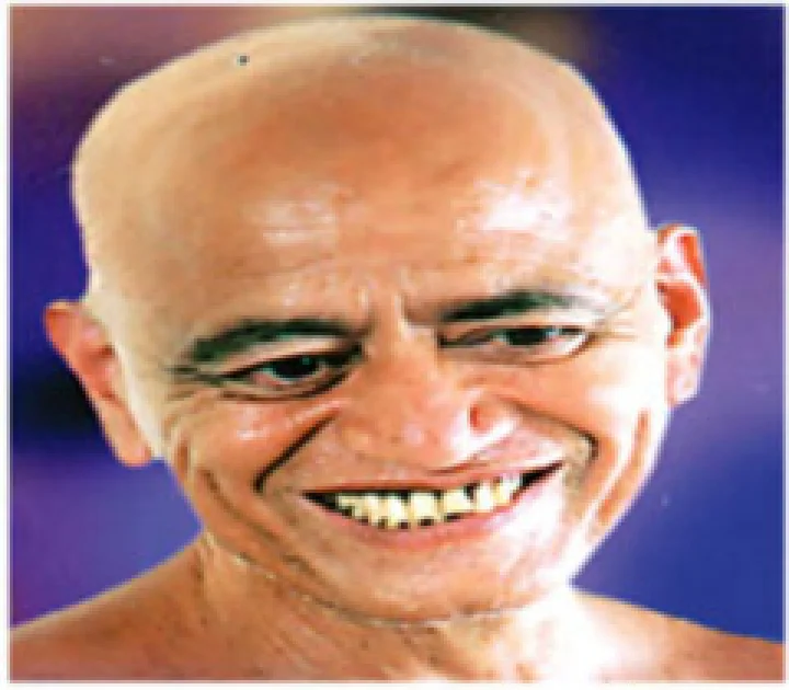 Vidyasagar Ji Maharaj