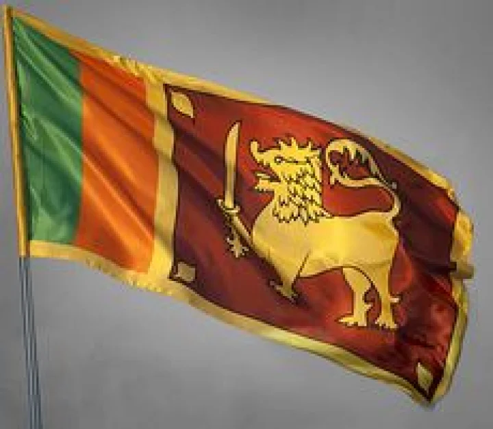 Srilanka Batsman is out of world cup
