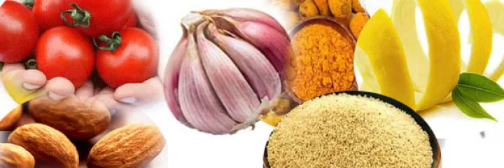 अमीर खुसरो