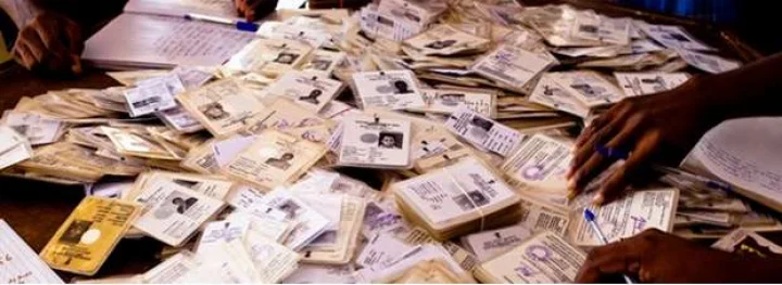 Fake voter ID