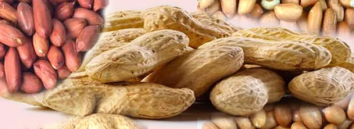 peanuts selling