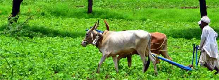 Kisan App