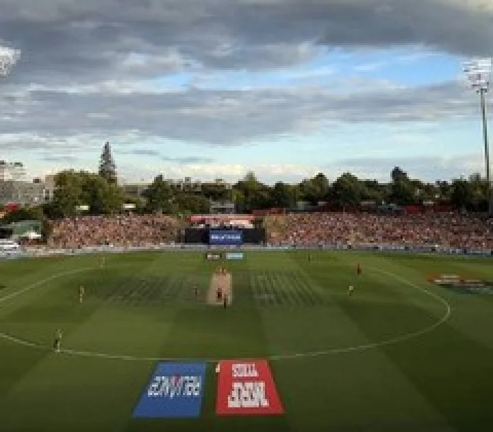 Seddon park curator