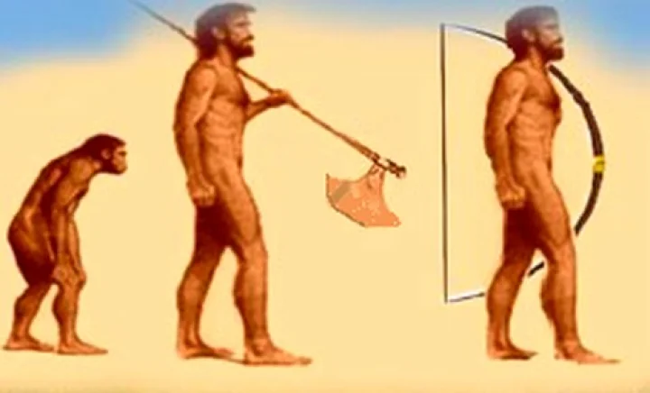 Human ancestor Bagnma sea creatures