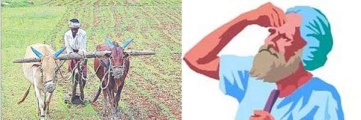 Indian farmer