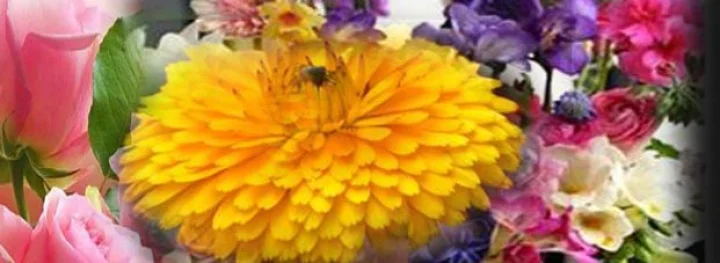 તંત્ર મંત્ર યંત્ર