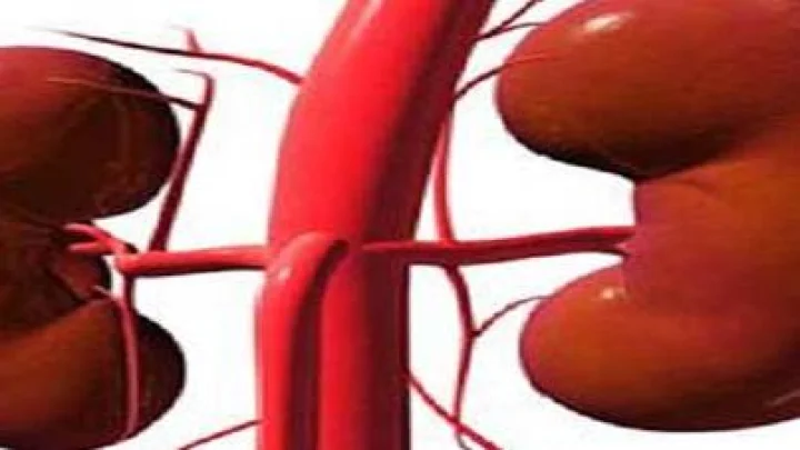 आकारावरून ओळखा कोणते फळ कोणत्या अवयवासाठी फायदेशीर