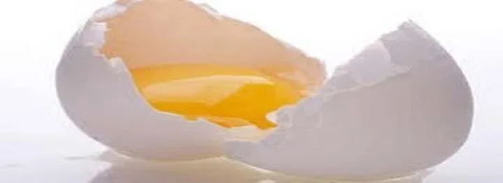 अंडा