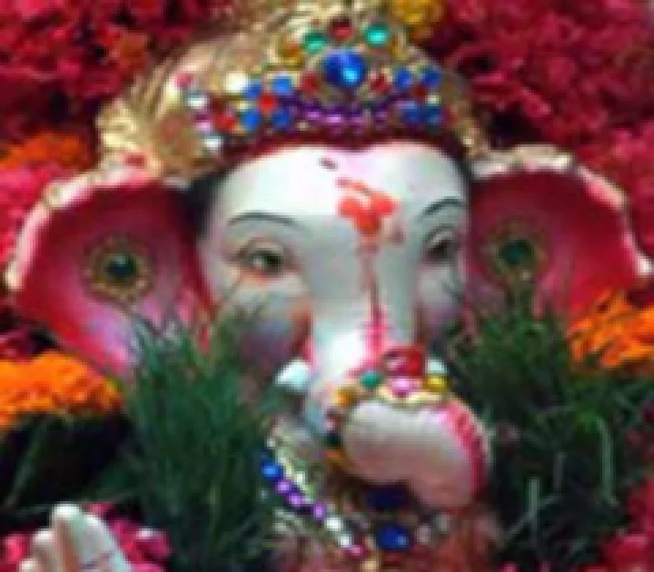 Durva in Ganesh Puja