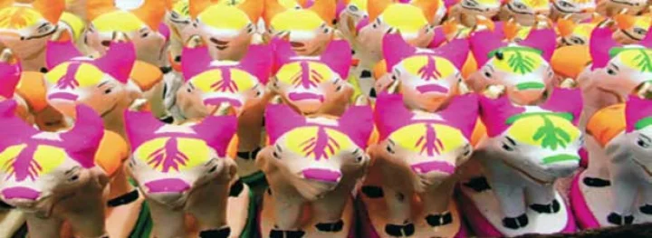 पोला-पिठोरा : किसानों का प्रमुख पर्व