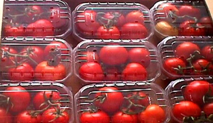 Bank of Tomato