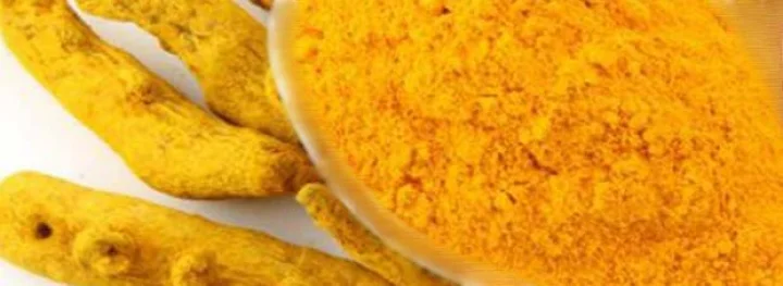 हळदीने बरा होतो गर्भाशाच्या मुखाचा कर्करोग