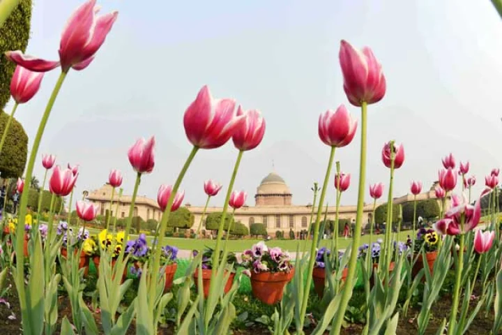 आम जनता के लिए खुला मुगल गार्डन (फोटो)