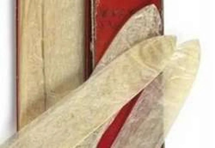 देशात कॉण्डोमचा वापर घटला