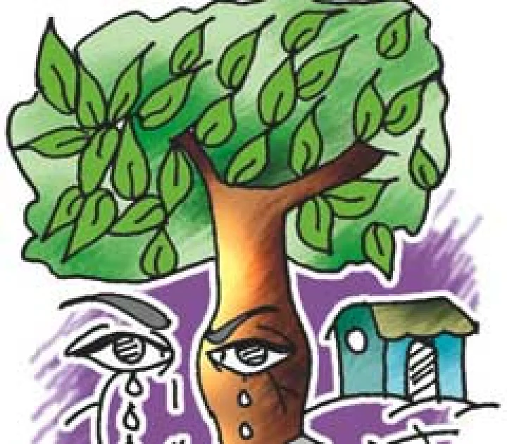 झाडांवर कुर्‍हाड चालवणारा 'तो' विकृत सापडला