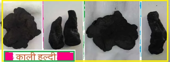 काली हल्दी के अद्‍भुत टोटके