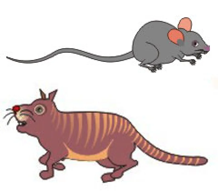 अप्रैल फूल जोक्स : चूहा-बिल्ली और पार्टी