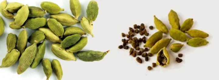 cardamom