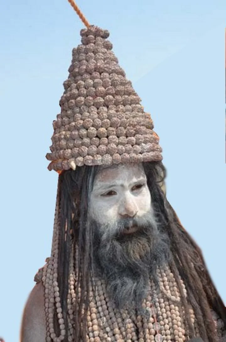 रुद्राक्ष वाले बाबा को देखकर लोग हैरान