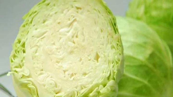 leaf cabbage
