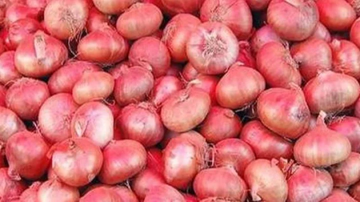 onion